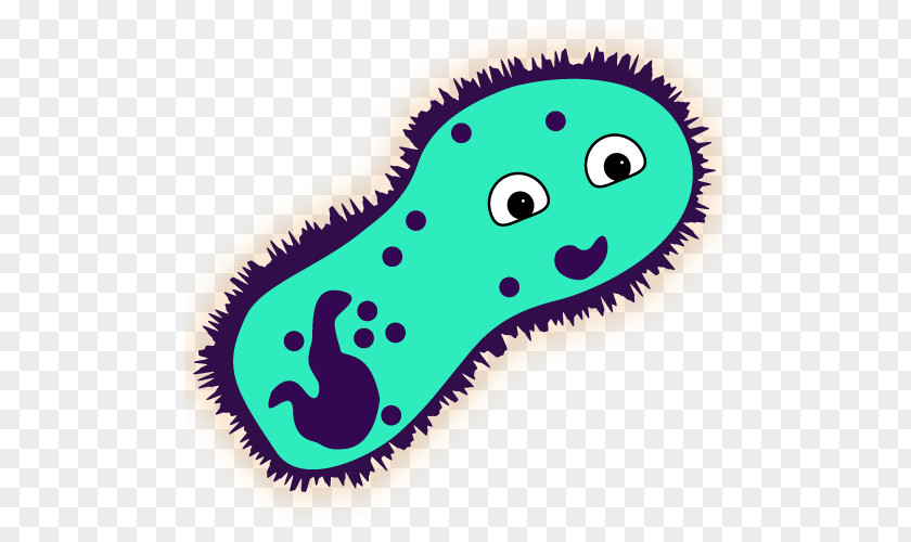 Diphtheria Virus Klebs-Löffler Bacillus Germ Theory Of Disease Clip Art PNG