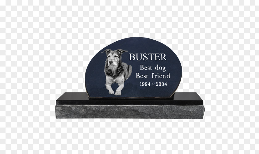 Grave Headstone Memorial Urn Engraving PNG