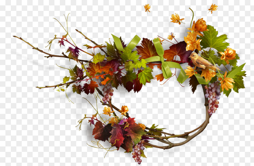 Mardi Autumn Photography Clip Art PNG