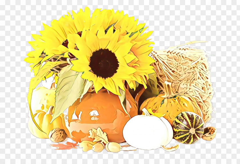 Still Life English Marigold Sunflower PNG