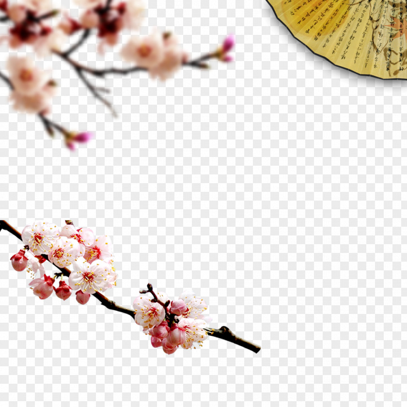 Winter Decorative Elements Flower Download Wallpaper PNG