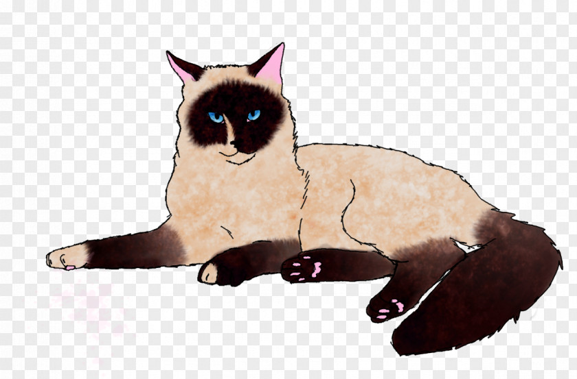 Kitten Whiskers Balinese Cat Domestic Short-haired PNG