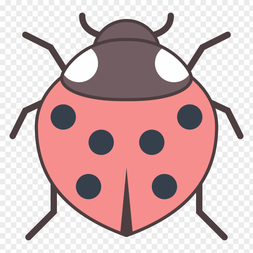 Ladybird Beetle Clip Art PNG