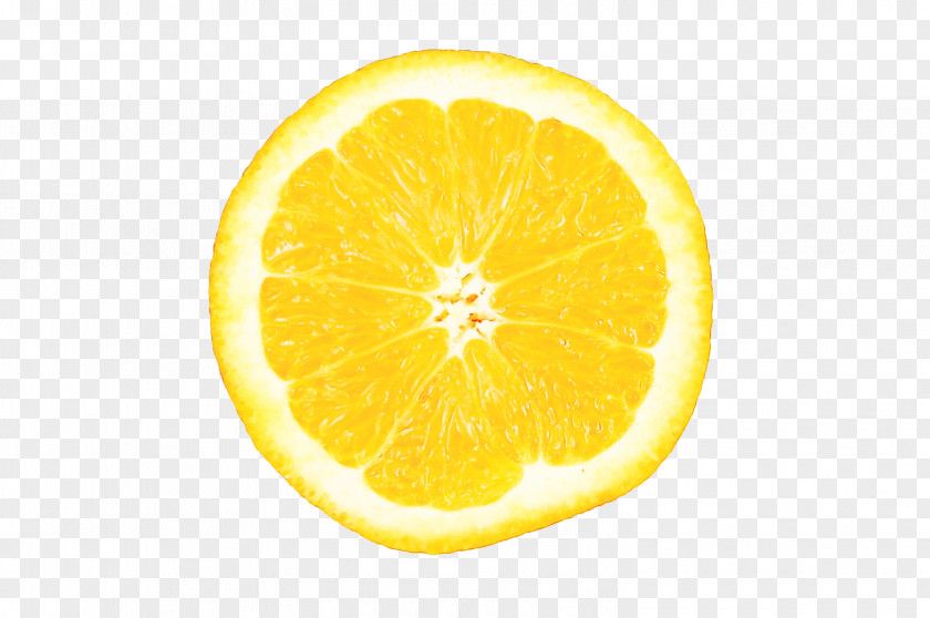 Plant Grapefruit Lemon Citrus Yellow Citron Fruit PNG