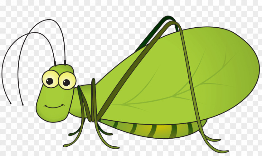 Butterfly Insect Clip Art PNG