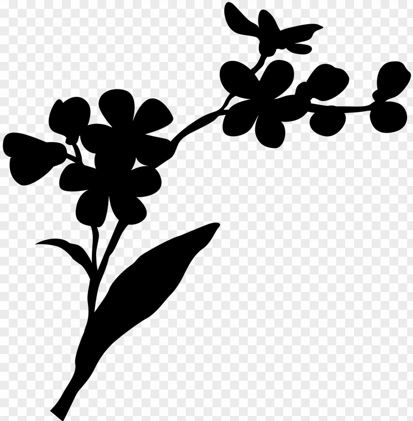 Clip Art Leaf Plant Stem Silhouette Line PNG