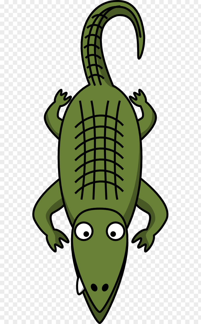 Graphics Pictures Crocodile Cartoon Clip Art PNG
