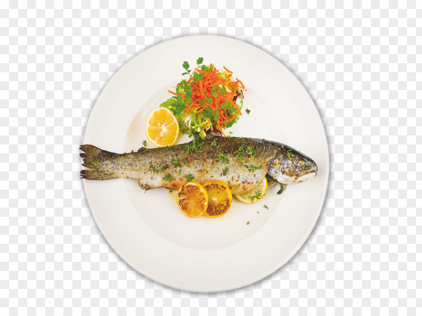 Plate Dish Garnish Recipe Fish PNG