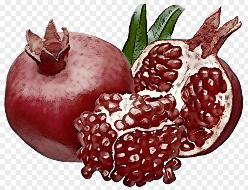 Pomegranate Juice Seed Oil Grape PNG
