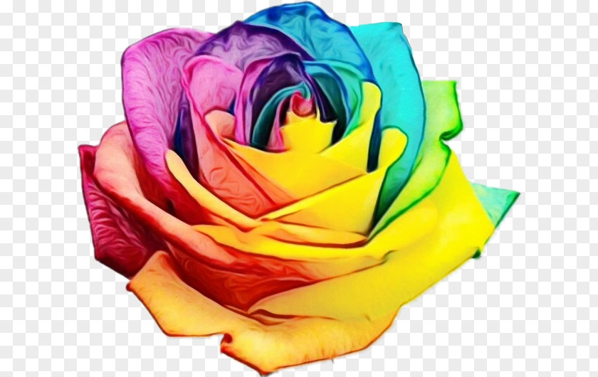 Rainbow Rose Orlando Nightclub Shooting Flower PULSE PNG