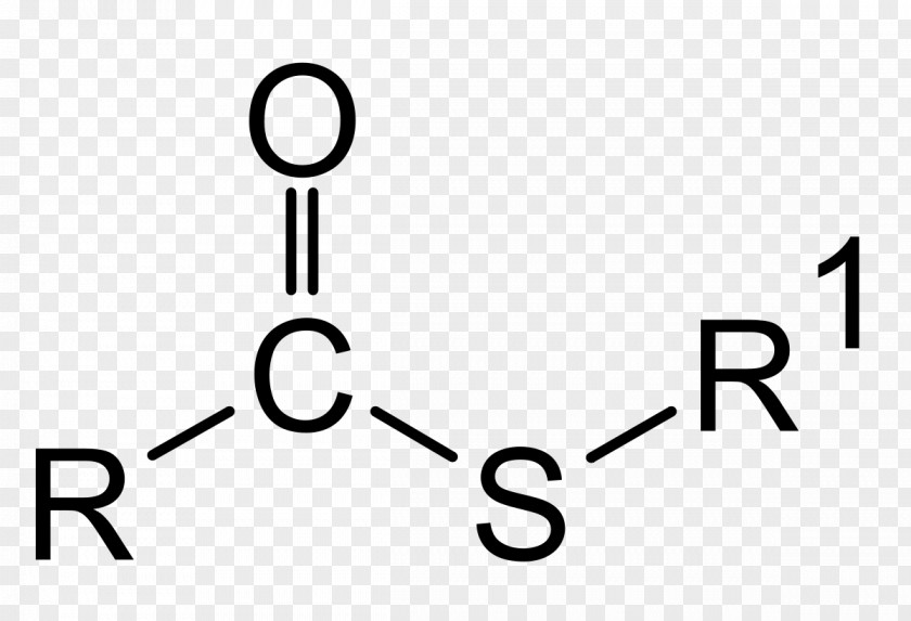 Thiol Malonic Ester Synthesis Functional Group Organic Compound Chemistry PNG