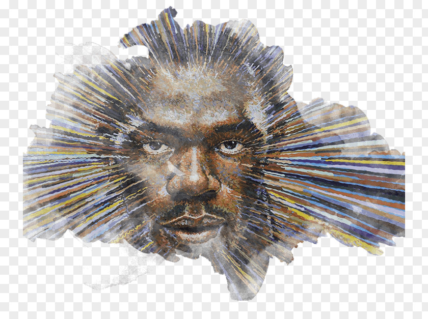 Usain Bolt Porcupine Whiskers Snout Fauna PNG