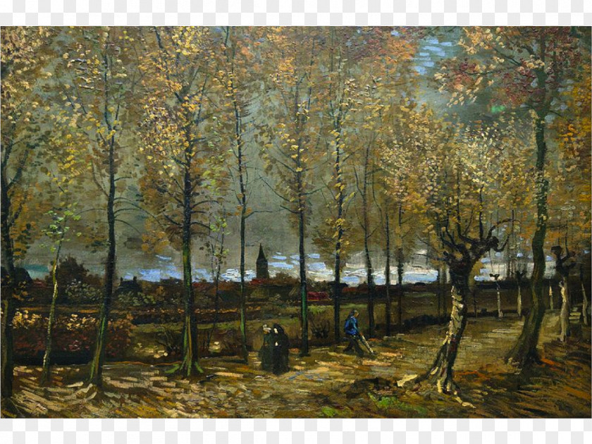 Vincent Van Gogh Poplars Near Nuenen Museum The Starry Night Almond Blossoms Painting PNG