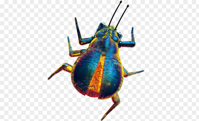 Beetle Weevil The Lost Property Office Ministry Great Fire Of London PNG