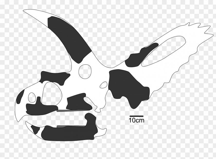 Dinosaur Coahuilaceratops Cerro Del Pueblo Formation Pentaceratops Kritosaurus PNG