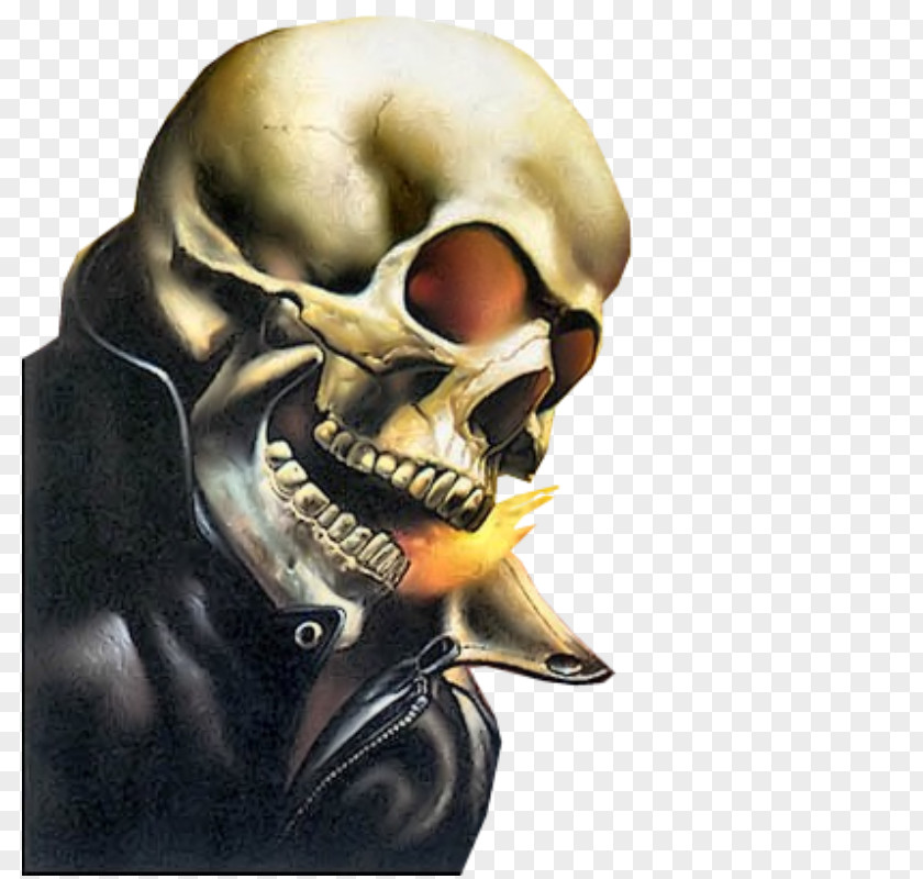 Skull Johnny Blaze Danny Ketch Marvel Comics Ghost PNG