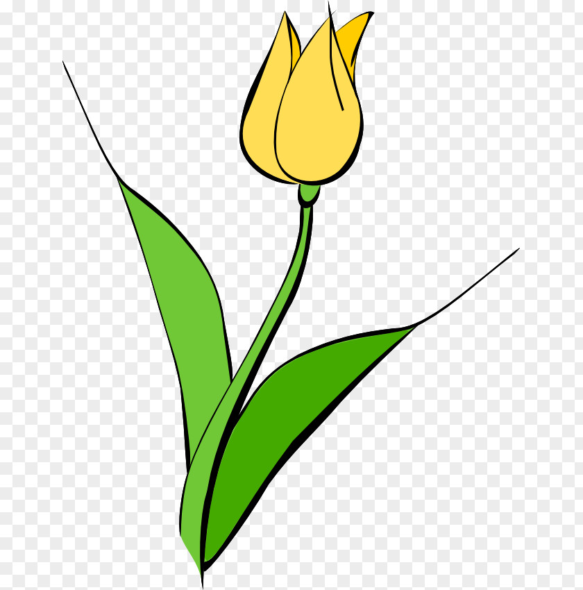 Spring Tulip Pictures Tulipa Gesneriana Yellow Flower Clip Art PNG
