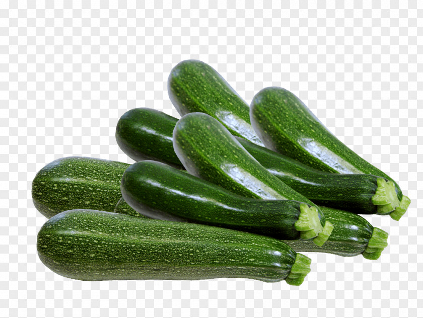 Cucumber Summer Squash Cucurbita Pepo Zucchini Vegetable PNG