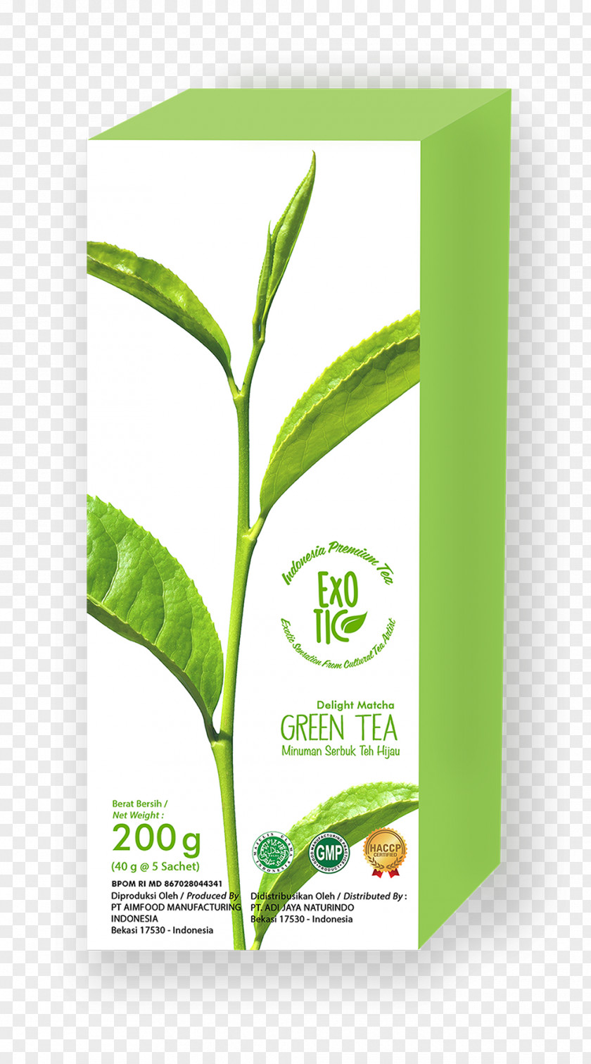 Green Tea Matcha Latte White PNG