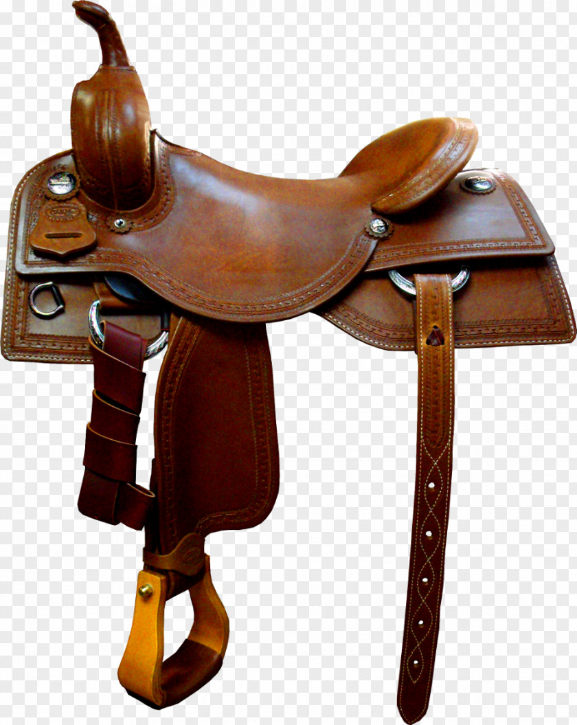 Horse C W Wiley Custom Saddles Tack Equestrian PNG