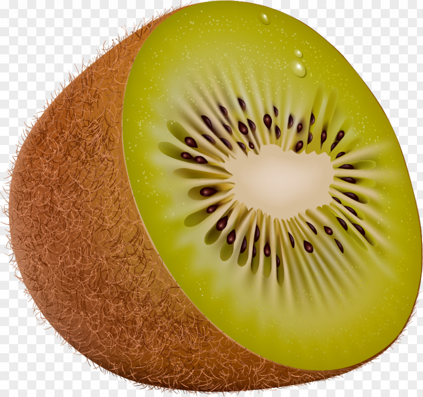 Kiwifruit Clip Art PNG