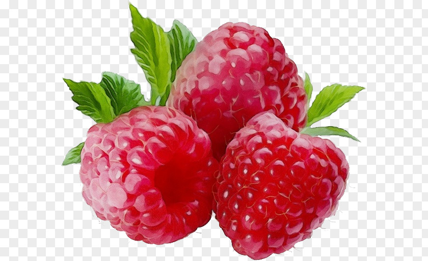Strawberries Rubus Strawberry PNG
