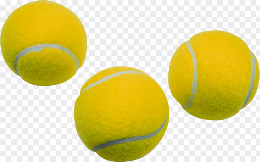 Yellow Tennis Ball PNG