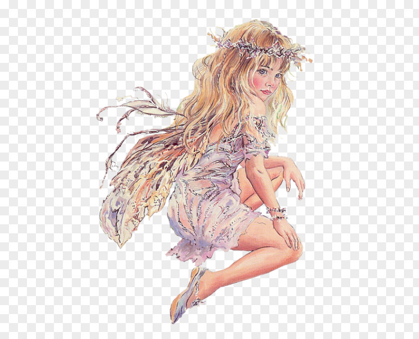 Fairy Flower Fairies Woman PNG