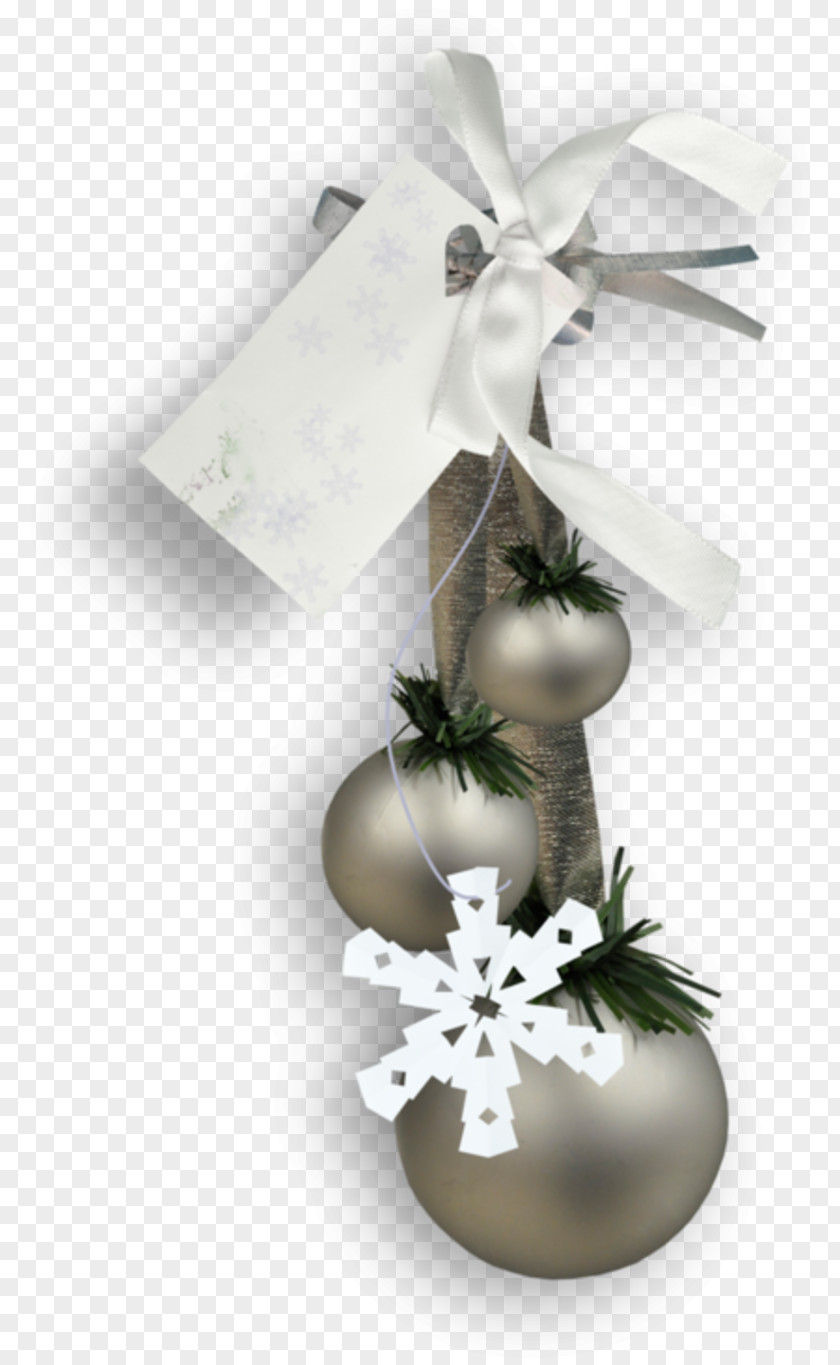 Forgetmenot Flyer Christmas Day Holiday New Year Image PNG