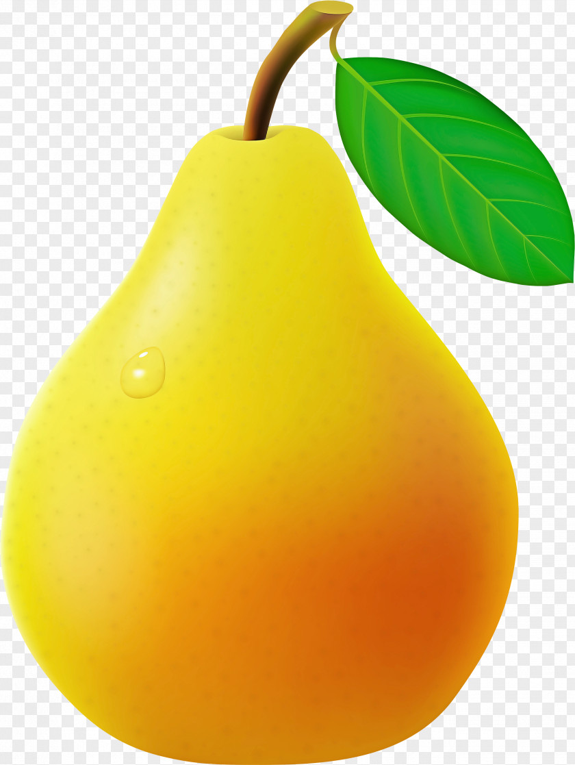 Fruit Tree PNG