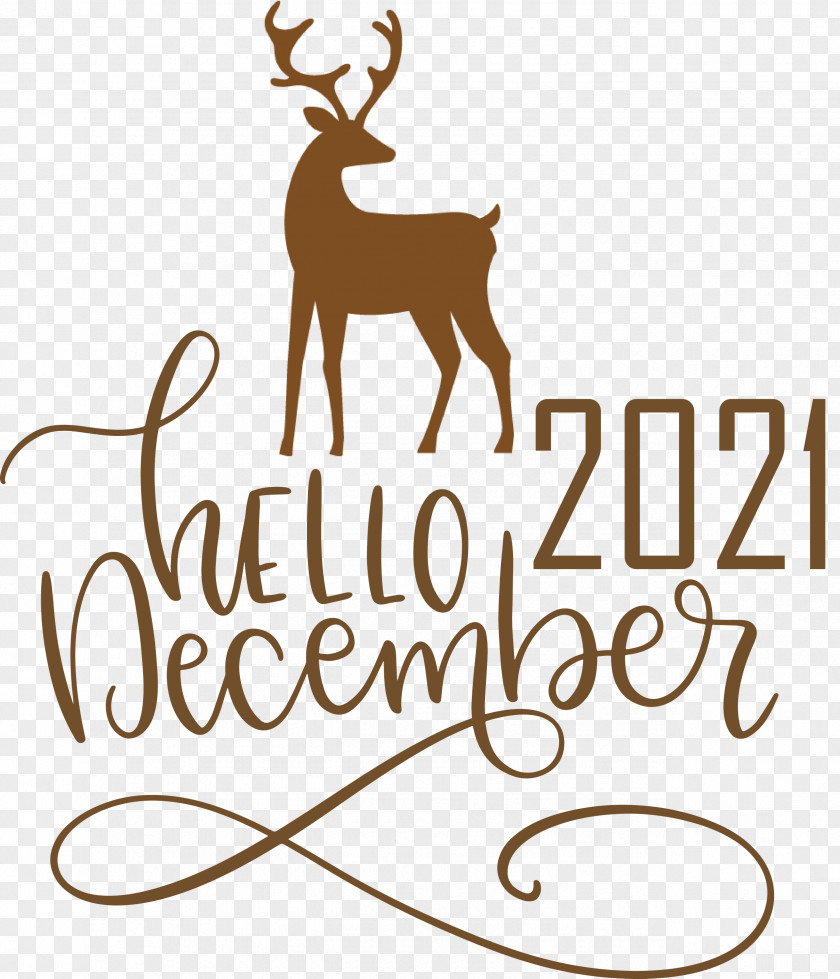 Hello December December Winter PNG