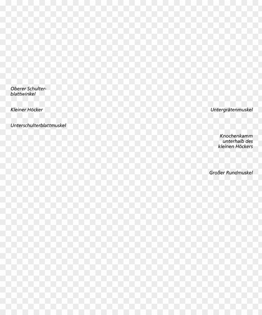 Line Document Brand PNG