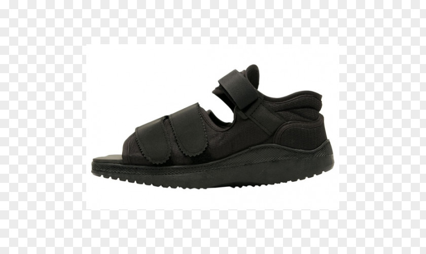 Physical Therapy Of Tcm Sneakers Air Jordan Shoe Nike Footwear PNG