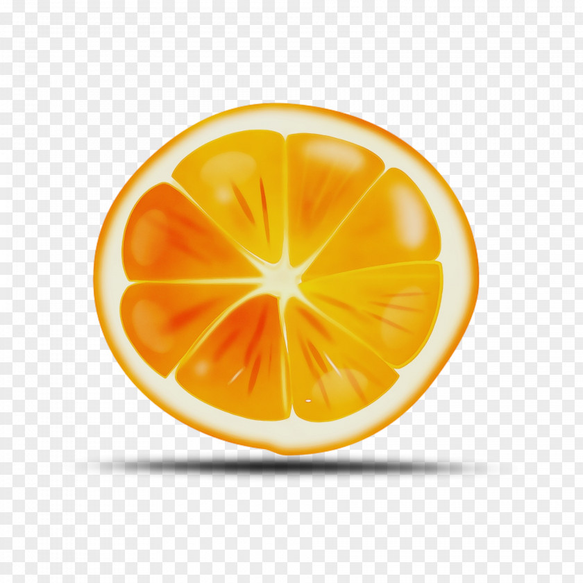 Plant Tangerine Orange PNG