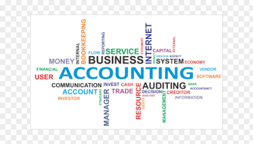 Software Audit Review Accounting Accountant Business Stock Photography PNG