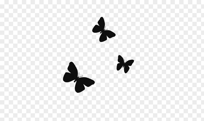 Butterfly Black And White Desktop Wallpaper YouTube Word PNG