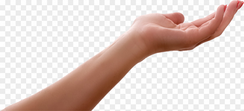 Hand Gesture Thumb Model Arm PNG