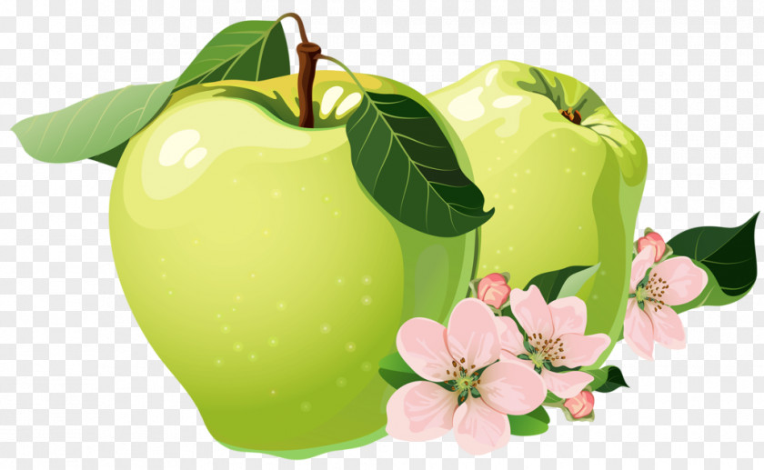 Hand-painted Blue Apple Granny Smith Auglis PNG