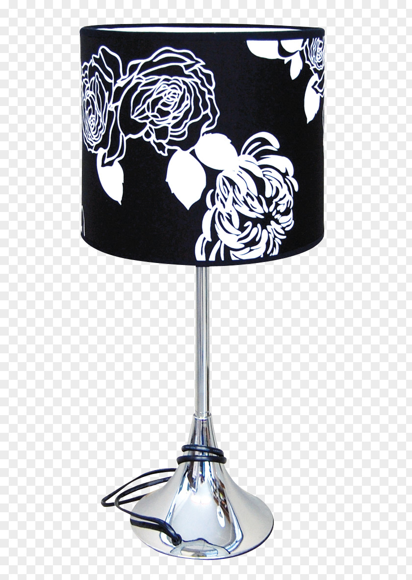 Standard Lamp Light PNG