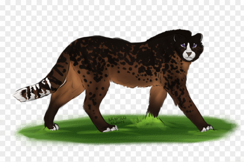 Cat Big Terrestrial Animal Puma Wildlife PNG