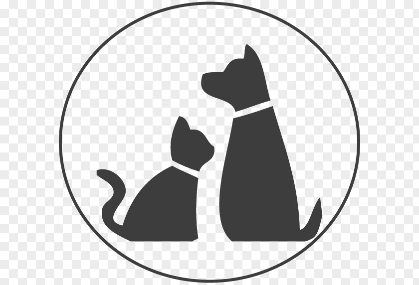 Cat Pet–friendly Hotels Motion Detection Dog PNG