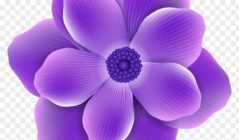 Flower Purple Lavender Clip Art PNG