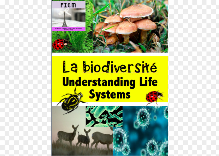 Science Album Education Biology Student Biodiversity Sixth Grade PNG