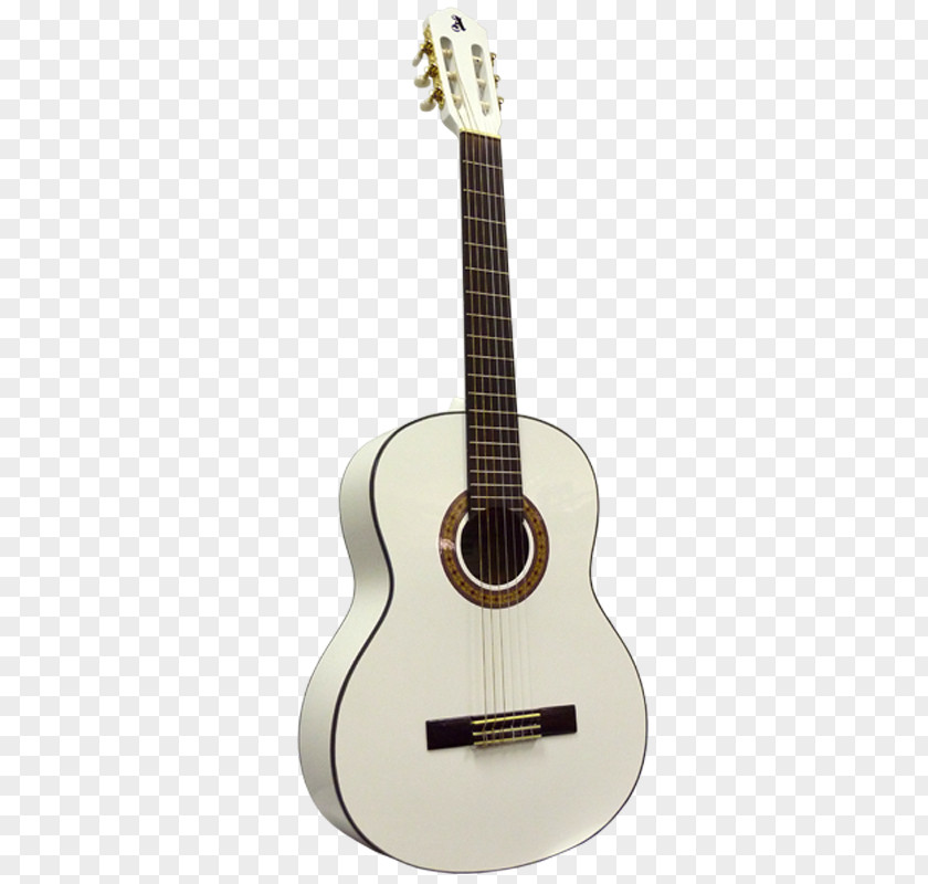 Acoustic Guitar Classical Acoustic-electric Dreadnought PNG