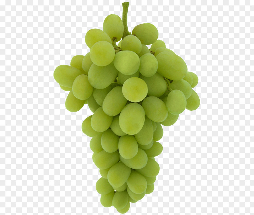 Green Allogeneic Cancer Cell Common Grape Vine Juice Seedless Fruit Table PNG