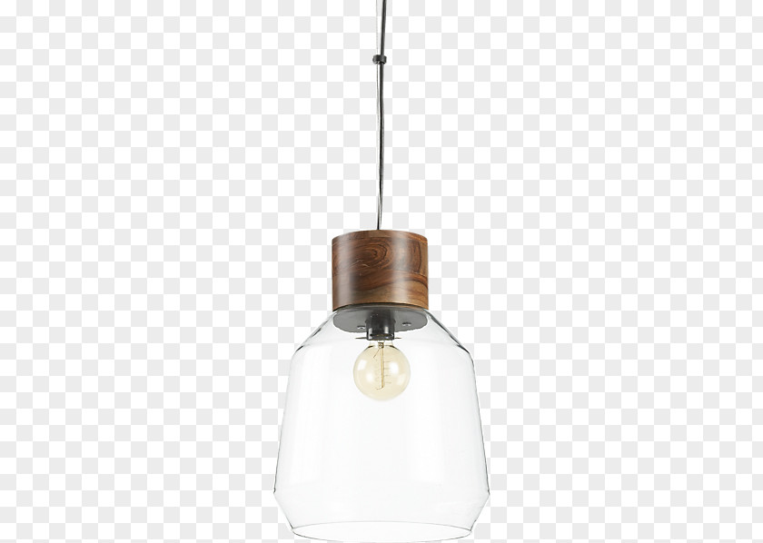 Light Pendant Fixture Lighting Charms & Pendants PNG