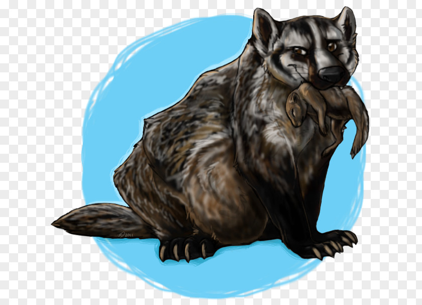 Raccoon Viverrids Whiskers Fur Snout PNG