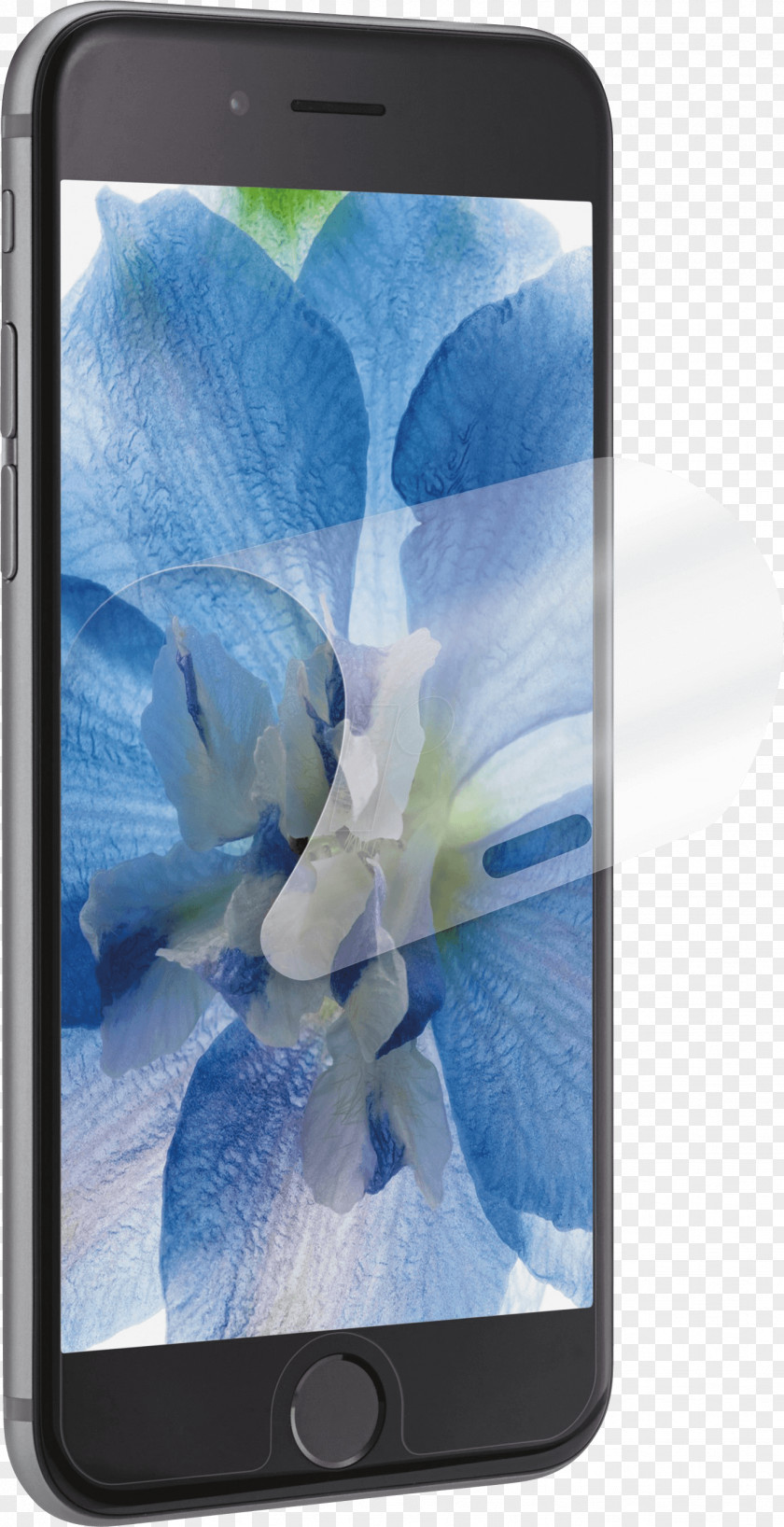 Smartphone Apple IPhone 7 Plus 5 6s Screen Protectors PNG