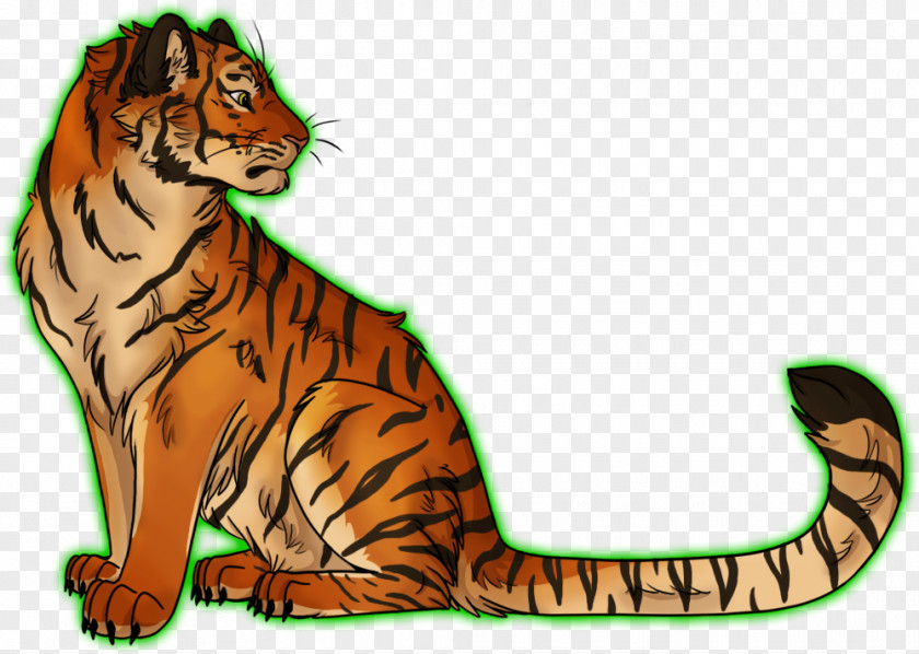 Tiger Whiskers Wildcat Lion PNG