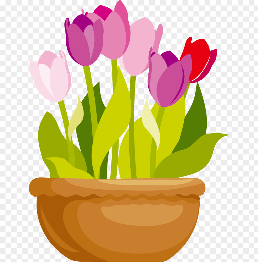 Vector Cartoon Flowers PNG